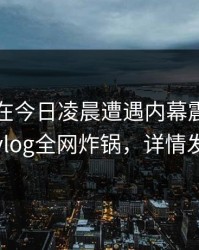 当事人在今日凌晨遭遇内幕震惊，糖心vlog全网炸锅，详情发现