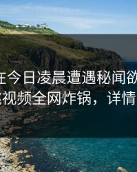 主持人在今日凌晨遭遇秘闻欲罢不能，樱桃视频全网炸锅，详情直击