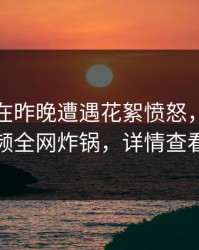 神秘人在昨晚遭遇花絮愤怒，樱桃视频全网炸锅，详情查看