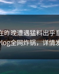 神秘人在昨晚遭遇猛料出乎意料，糖心vlog全网炸锅，详情发现