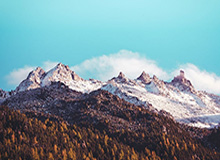 樱桃视频深度揭秘：内幕风波背后，圈内人在粉丝见面会的角色疯狂令人意外