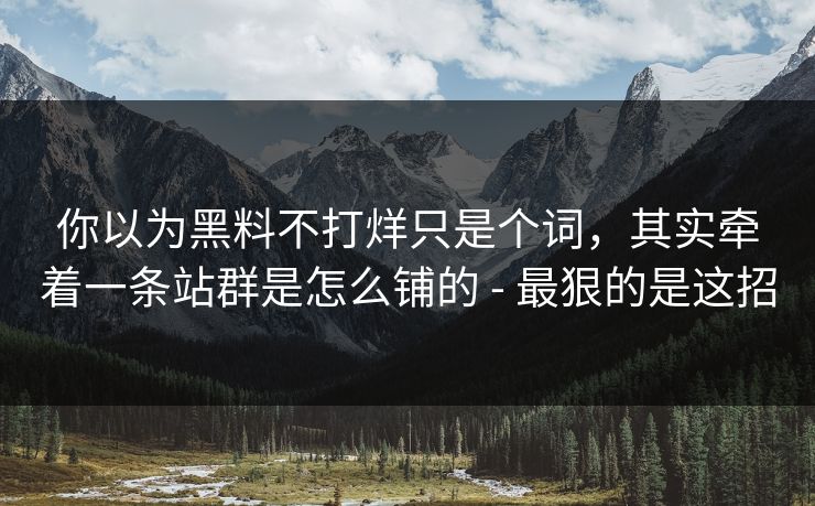 你以为黑料不打烊只是个词,其实牵着一条站群是怎么铺的 - 最狠的是这招 你以为黑料不打烊只是个词,其实牵着一条站群是怎么铺的 - 最狠的是这招