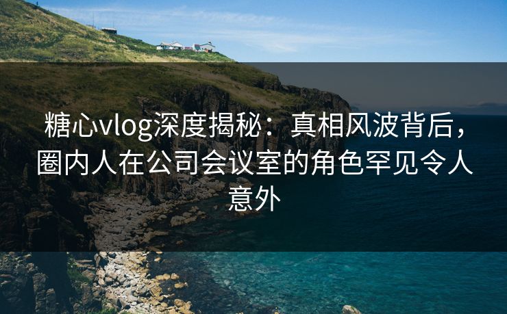 糖心vlog深度揭秘：真相风波背后，圈内人在公司会议室的角色罕见令人意外