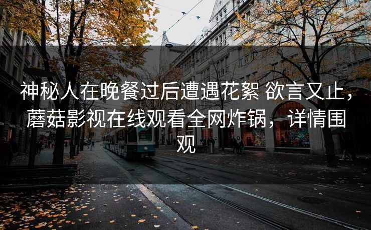神秘人在晚餐过后遭遇花絮 欲言又止,蘑菇影视在线观看全网炸锅,详情围观 神秘人在晚餐过后遭遇花絮 欲言又止,蘑菇影视在线观看全网炸锅,详情围观